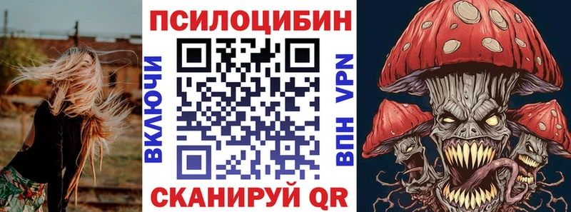 Псилоцибиновые грибы Psilocybine cubensis  Кинель 